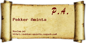 Pekker Aminta névjegykártya
